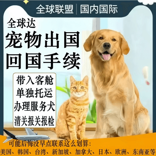 太原宠物托运到柬埔寨宠物入境规定和要求