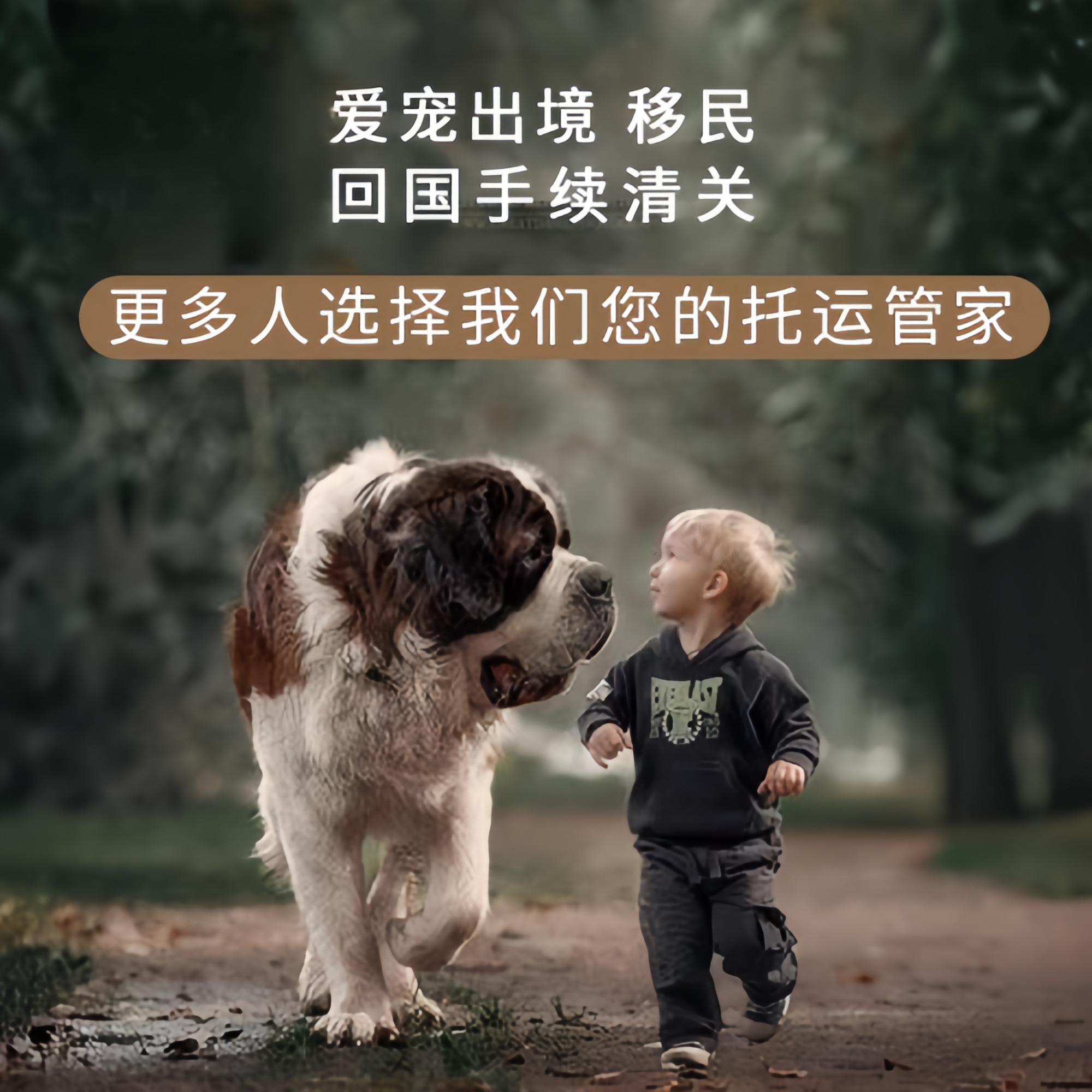 满财太原宠物全球达宠物托运在遵守入境目的地政策的条件