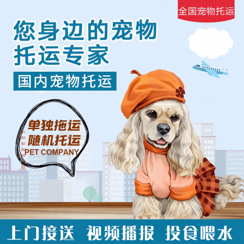 满财太原宠物全球达宠物托运作为专业的宠物运输代理机构